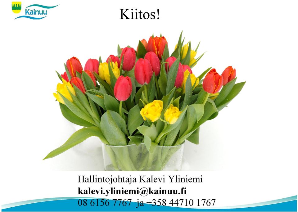 Yliniemi kalevi.
