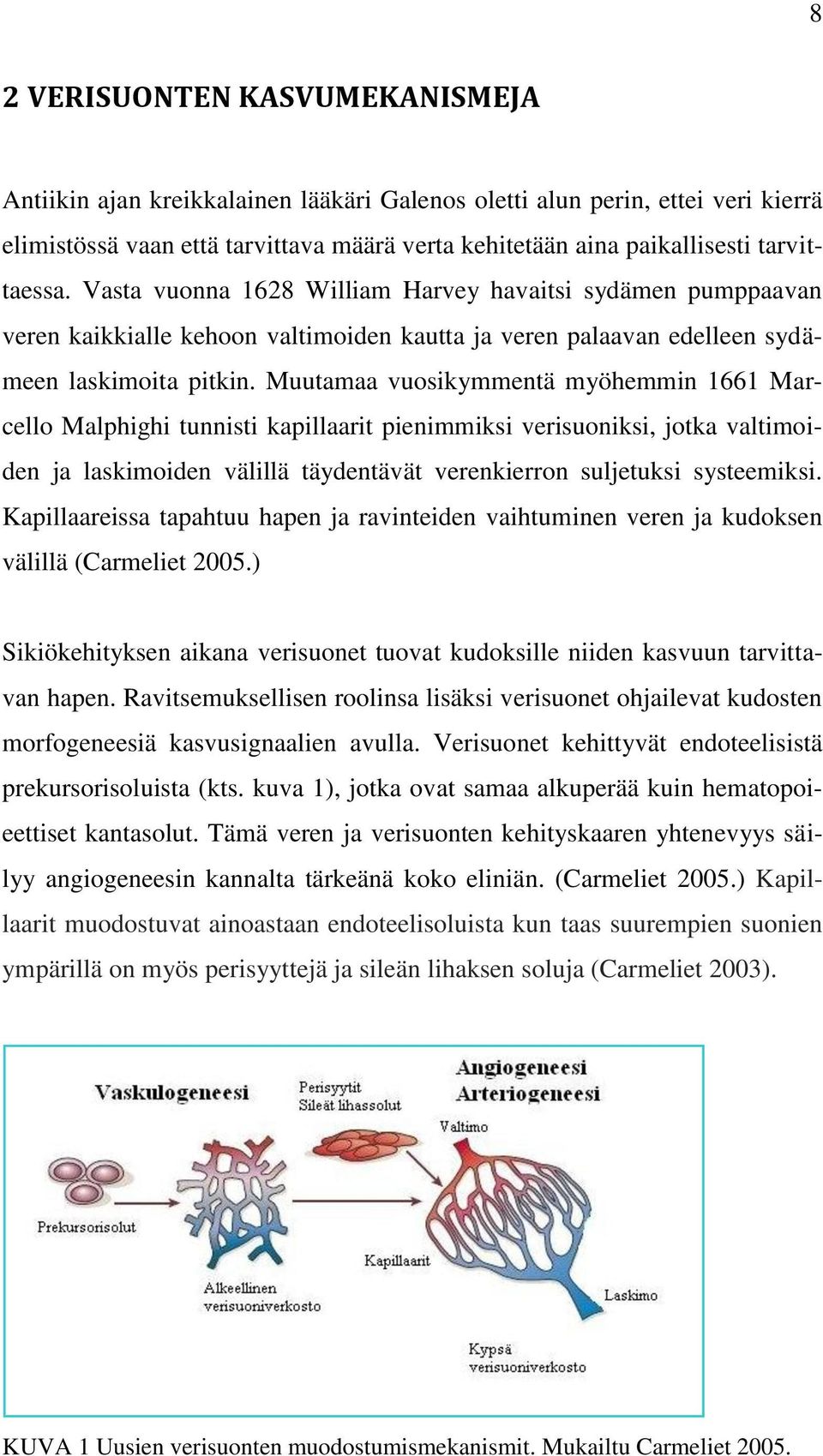 Muutamaa vuosikymmentä myöhemmin 1661 Marcello Malphighi tunnisti kapillaarit pienimmiksi verisuoniksi, jotka valtimoiden ja laskimoiden välillä täydentävät verenkierron suljetuksi systeemiksi.