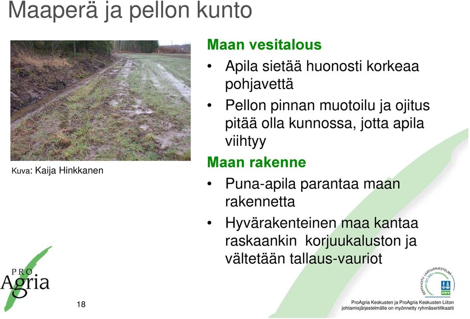 kunnossa, jotta apila viihtyy Maan rakenne Puna-apila parantaa maan