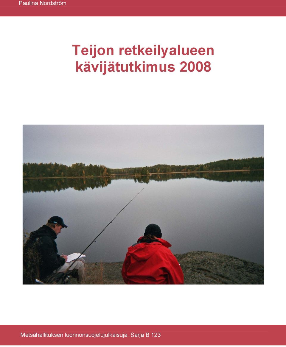 kävijätutkimus 2008