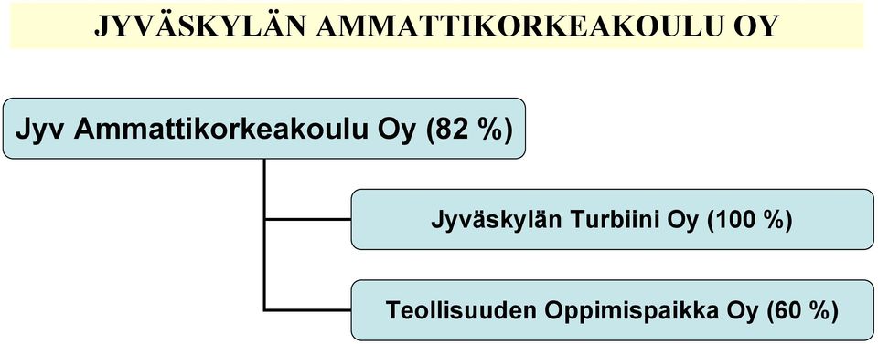 Jyväskylän Turbiini Oy (100 %)