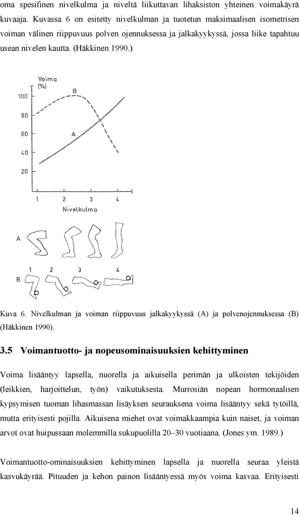 ) Kuva 6. Nivelkulman ja voiman riippuvuus jalkakyykyssä (A) ja polvenojennuksessa (B) (Häkkinen 1990). 3.