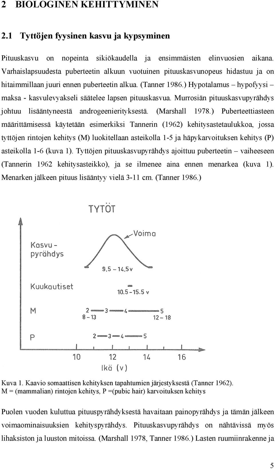 ) Hypotalamus hypofyysi maksa - kasvulevyakseli säätelee lapsen pituuskasvua. Murrosiän pituuskasvupyrähdys johtuu lisääntyneestä androgeenierityksestä. (Marshall 1978.