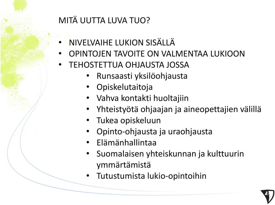 Runsaasti yksilöohjausta Opiskelutaitoja Vahva kontakti huoltajiin Yhteistyötä ohjaajan ja