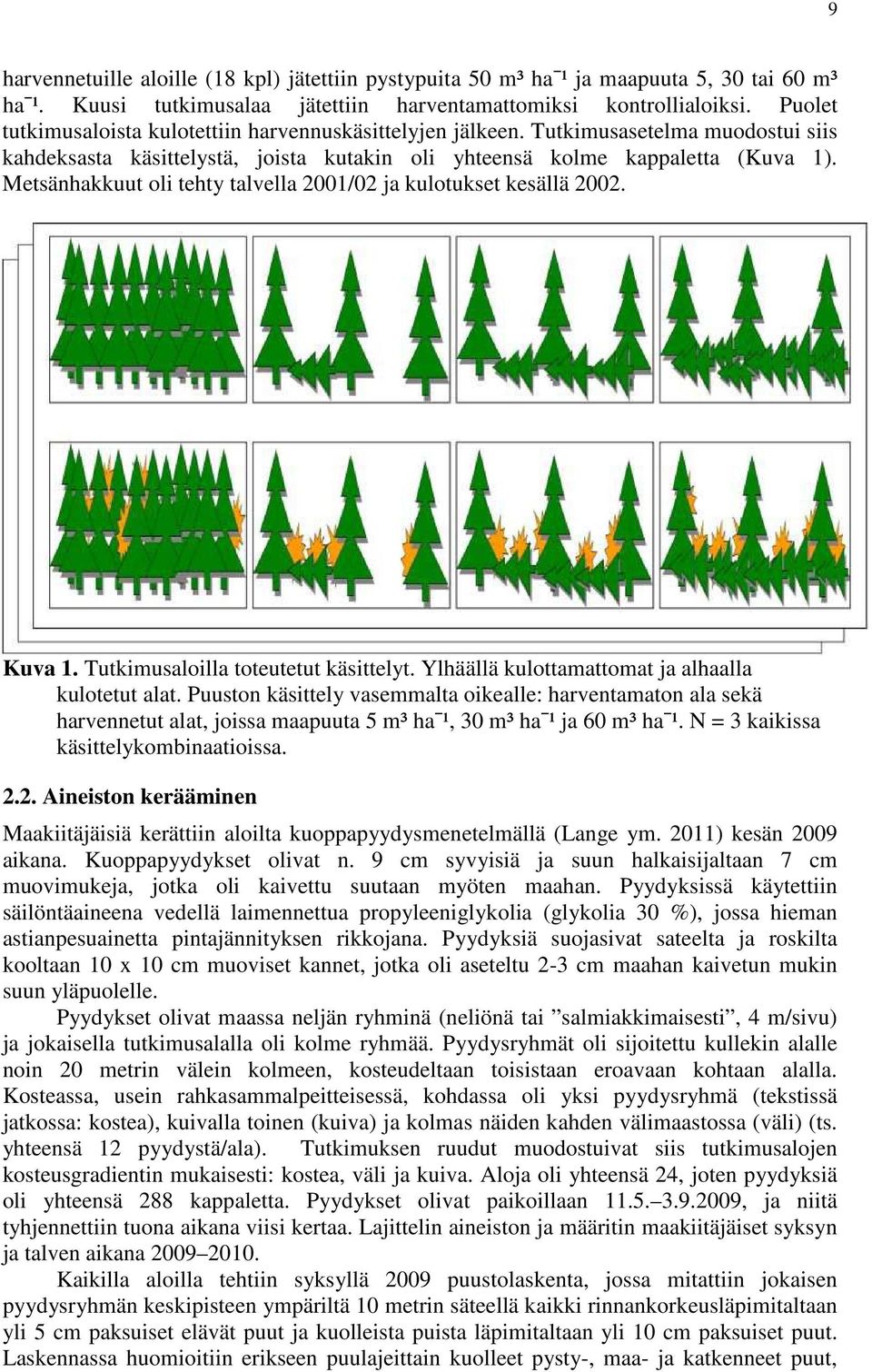 Metsänhakkuut oli tehty talvella 2001/02 ja kulotukset kesällä 2002. Kuva 1. Tutkimusaloilla toteutetut käsittelyt. Ylhäällä kulottamattomat ja alhaalla kulotetut alat.