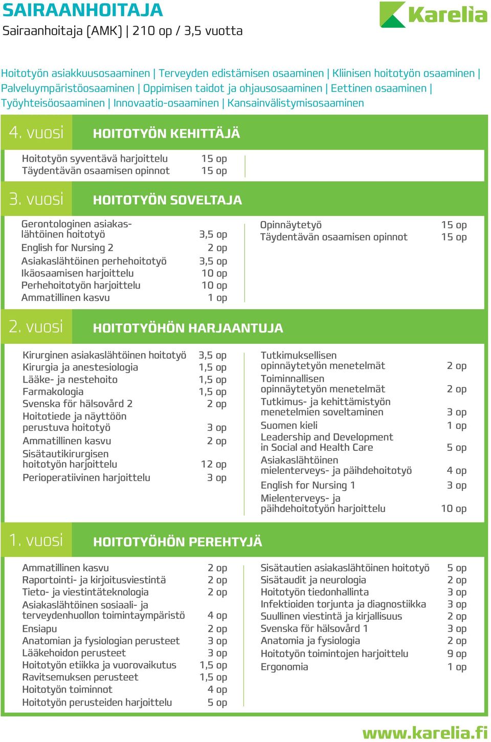 vuosi HOITOTYÖN KEHITTÄJÄ Hoitotyön syventävä harjoittelu Täydentävän osaamisen opinnot 3.