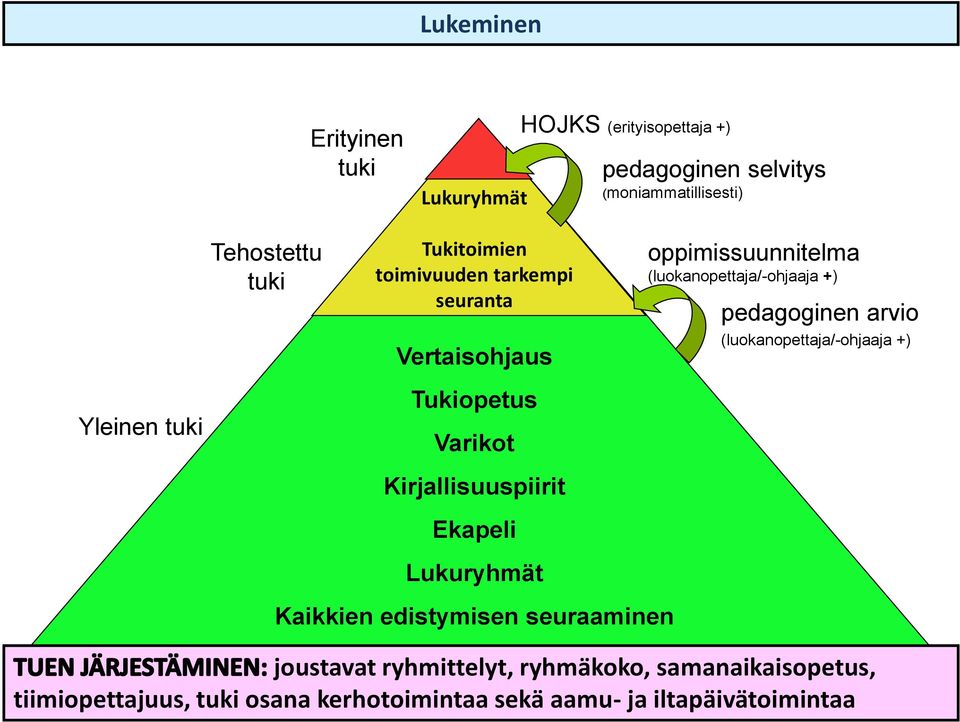 Lukuryhmät Kaikkien edistymisen seuraaminen oppimissuunnitelma (luokanopettaja/-ohjaaja +) pedagoginen arvio