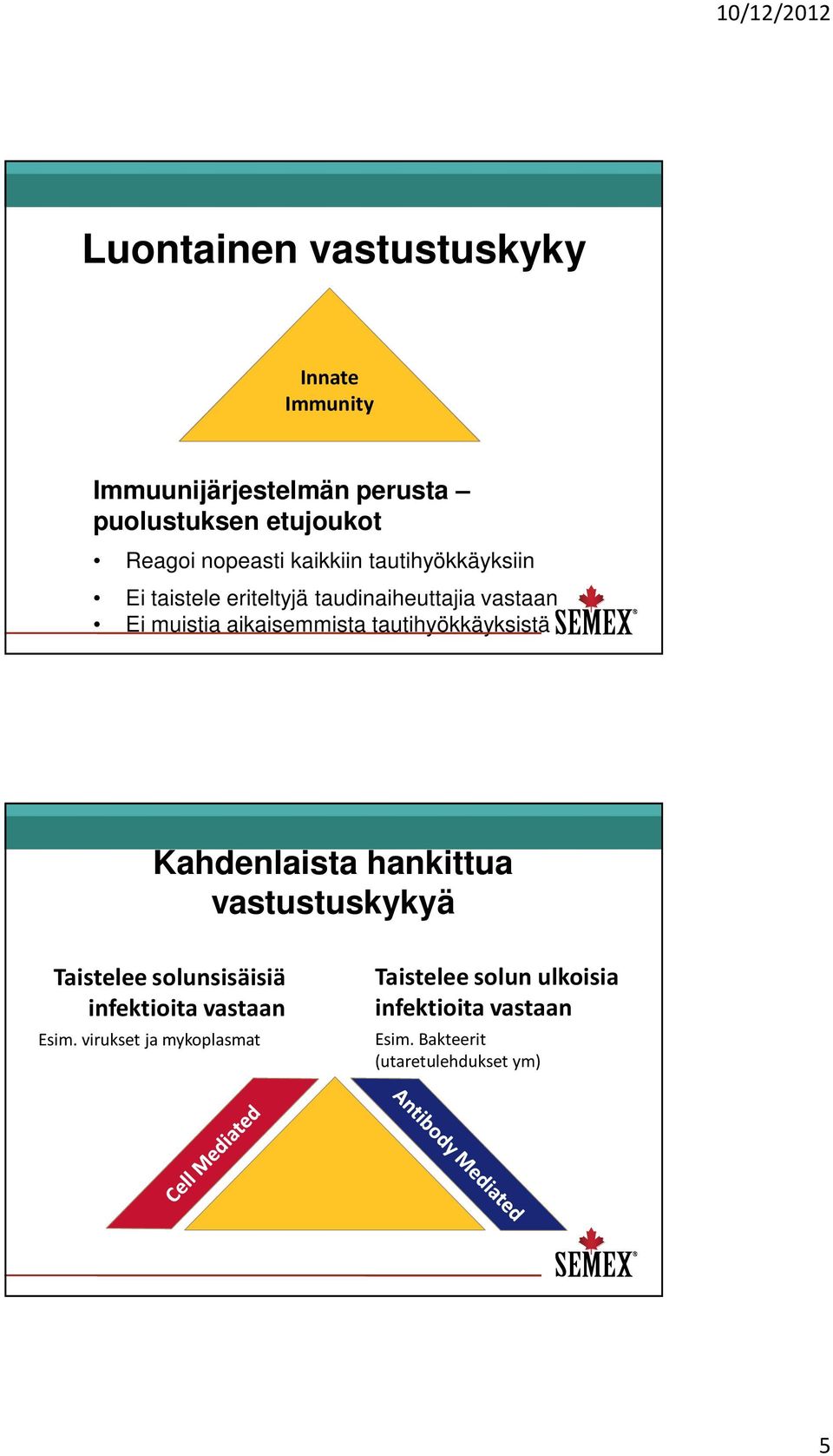 aikaisemmista tautihyökkäyksistä Kahdenlaista hankittua vastustuskykyä Taistelee solunsisäisiä