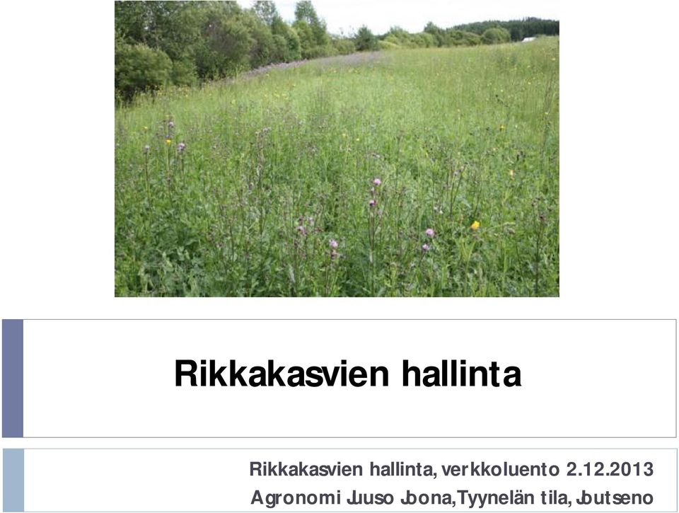 hallinta,