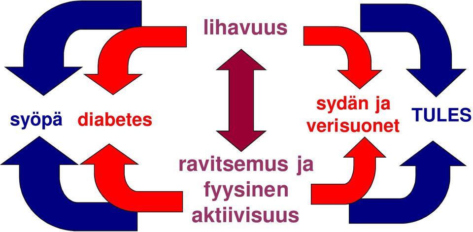 sydän ja verisuonet TULES