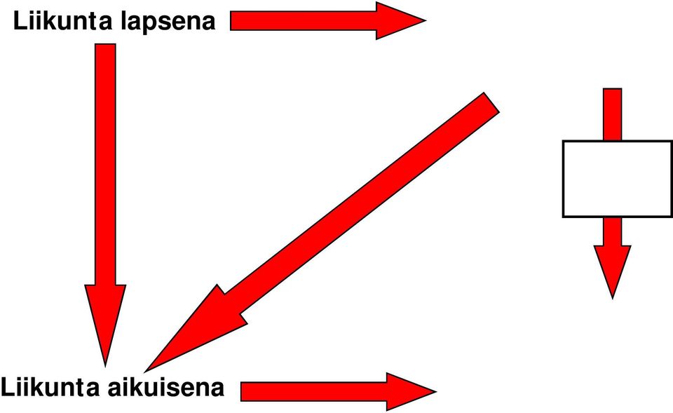 liikuntamyönteisyys kunto painon hallinta luusto paino Liikunta aikuisena Terveys ja kunto