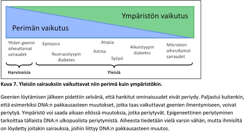 Paljastui kuitenkin, että esimerkiksi DNA:n pakkausasteen muutokset, jotka taas vaikuttavat geenien ilmentymiseen, voivat periytyä.