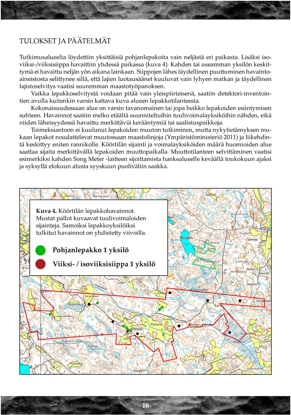 Siippojen lähes täydellinen puuttuminen havaintoaineistosta selittynee sillä, että lajien luotausäänet kuuluvat vain lyhyen matkan ja täydellinen lajistoselvitys vaatisi suuremman maastotyöpanoksen.