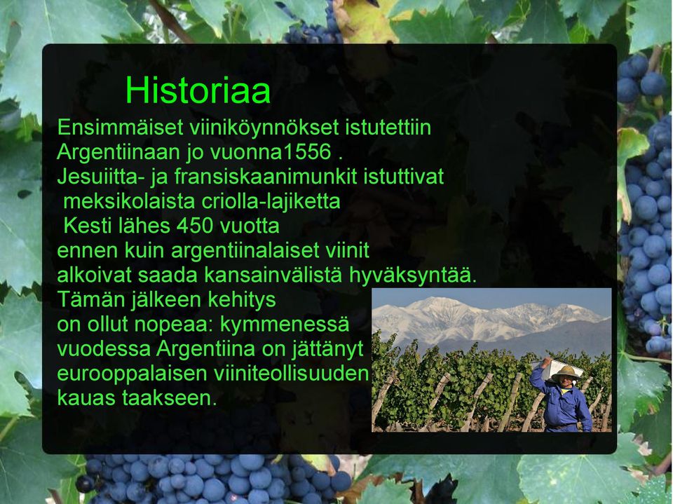 vuotta ennen kuin argentiinalaiset viinit alkoivat saada kansainvälistä hyväksyntää.