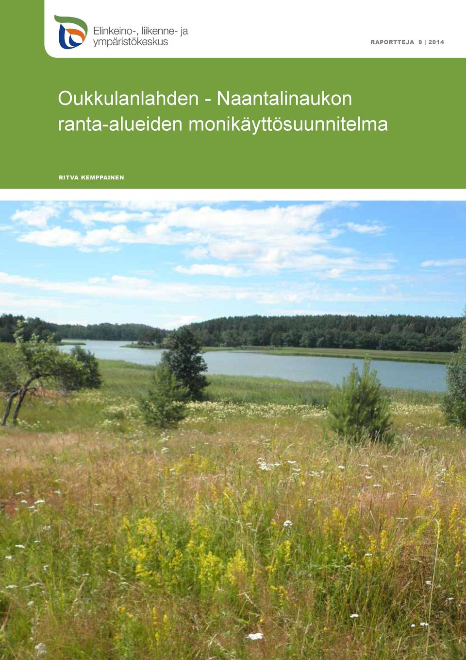 Naantalinaukon