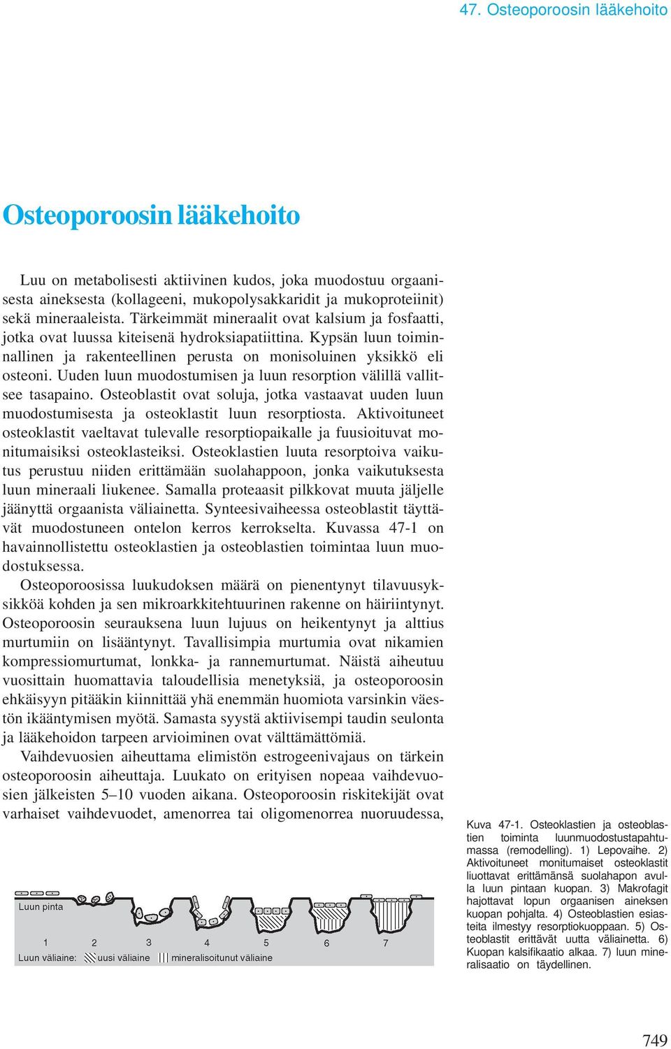 Kypsän luun toiminnallinen ja rakenteellinen perusta on monisoluinen yksikkö eli osteoni. Uuden luun muodostumisen ja luun resorption välillä vallitsee tasapaino.