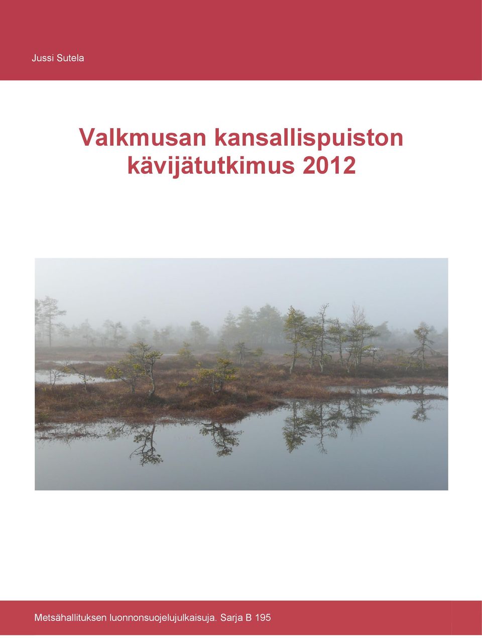 kävijätutkimus 2012