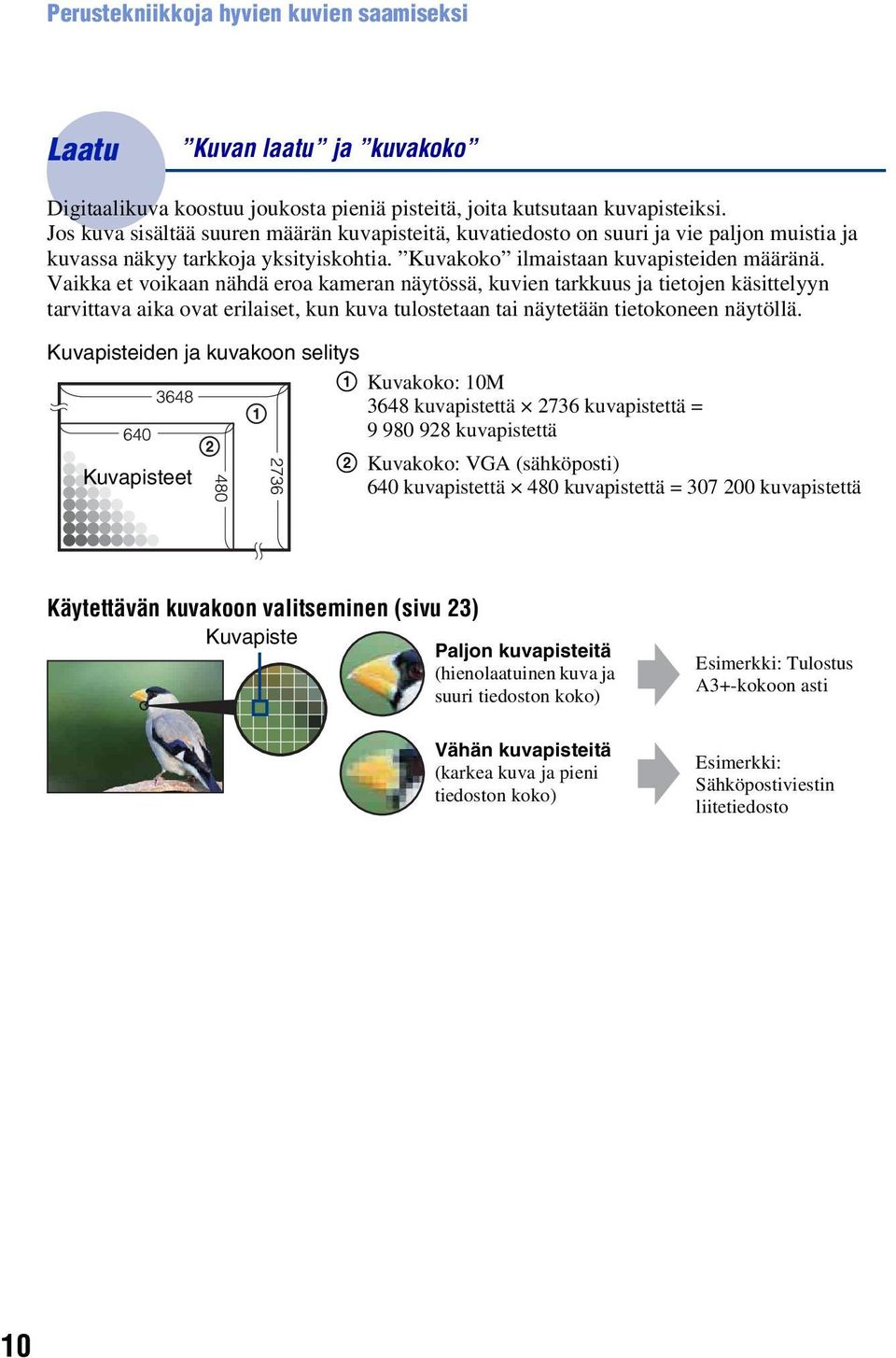 Vaikka et voikaan nähdä eroa kameran näytössä, kuvien tarkkuus ja tietojen käsittelyyn tarvittava aika ovat erilaiset, kun kuva tulostetaan tai näytetään tietokoneen näytöllä.