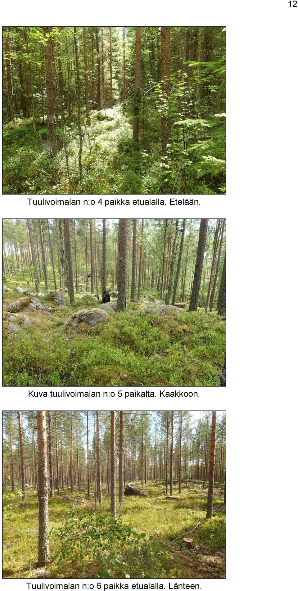 Kuva tuulivoimalan n:o 5 paikalta.