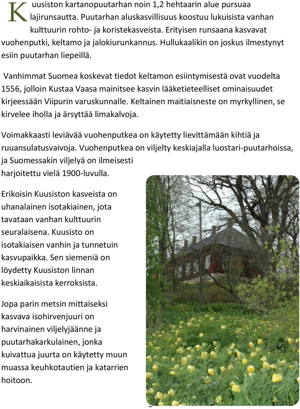 Vanhimmat Suomea koskevat tiedot keltamon esiintymisestä ovat vuodelta 1556, jolloin Kustaa Vaasa mainitsee kasvin lääketieteelliset ominaisuudet kirjeessään Viipurin varuskunnalle.