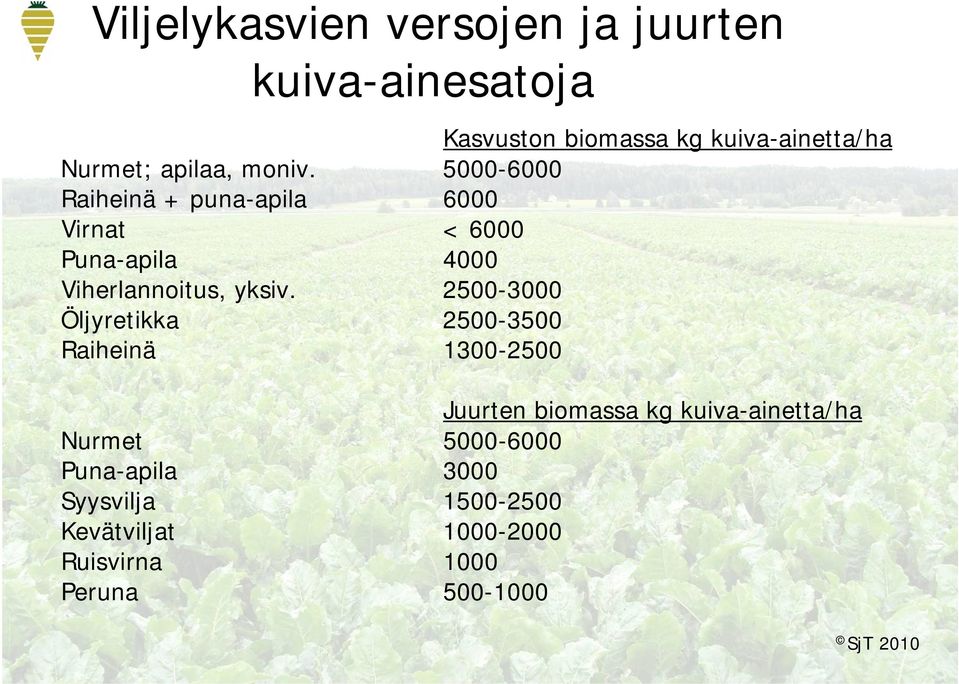 5000-6000 Raiheinä + puna-apila 6000 Virnat < 6000 Puna-apila 4000 Viherlannoitus, yksiv.