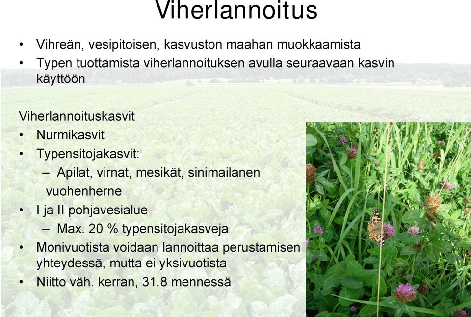 Typensitojakasvit: Apilat, virnat, mesikät, sinimailanen vuohenherne I ja II pohjavesialue Max.