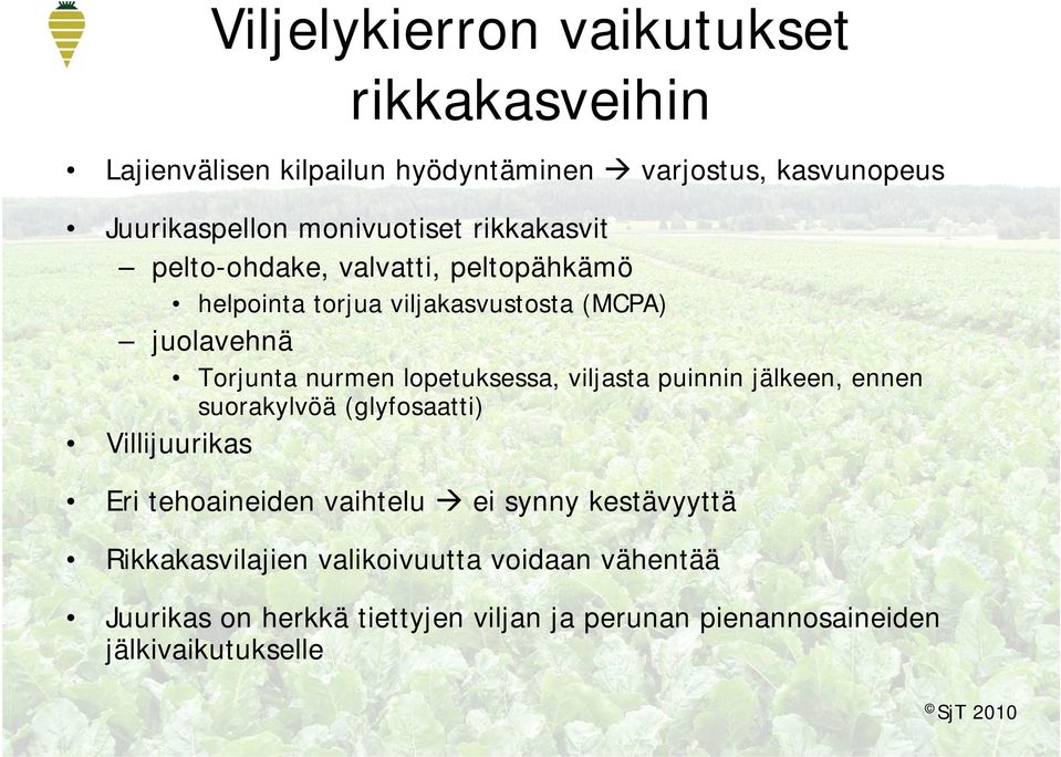 viljasta puinnin jälkeen, ennen suorakylvöä (glyfosaatti) Villijuurikas Eri tehoaineiden vaihtelu ei synny kestävyyttä