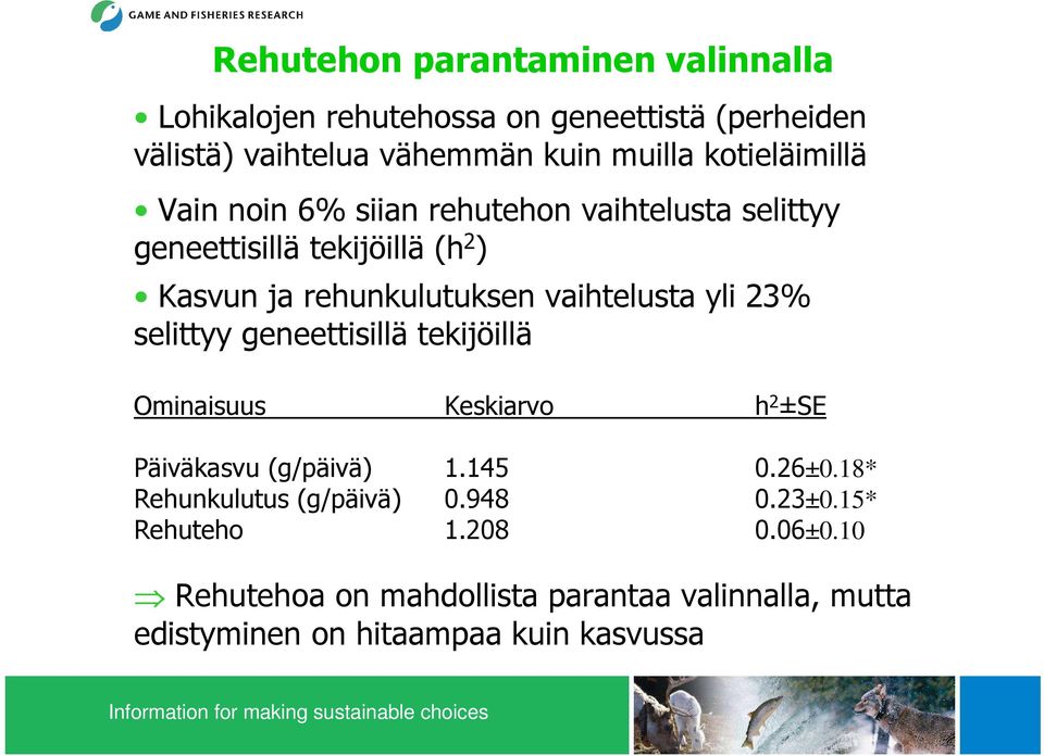 vaihtelusta yli 23% selittyy geneettisillä tekijöillä Ominaisuus Keskiarvo h 2 ±SE Päiväkasvu (g/päivä) 1.145 0.26±0.