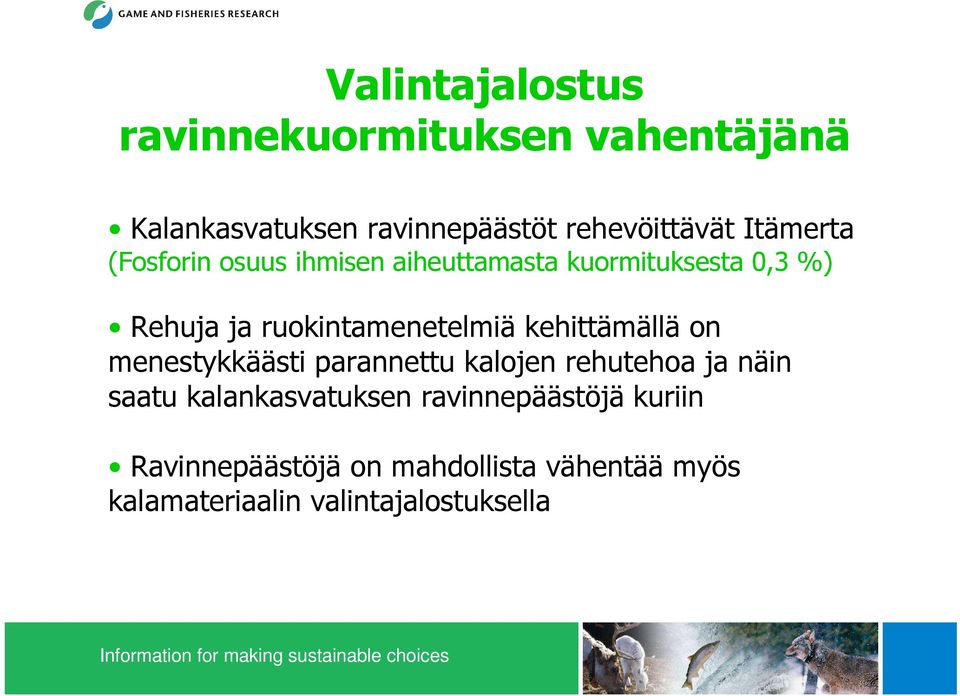 ruokintamenetelmiä kehittämällä on menestykkäästi parannettu kalojen rehutehoa ja näin saatu