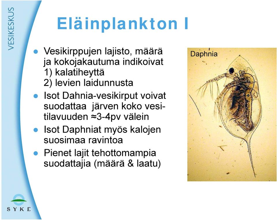 suodattaa järven koko vesitilavuuden 3-4pv välein Isot Daphniat myös