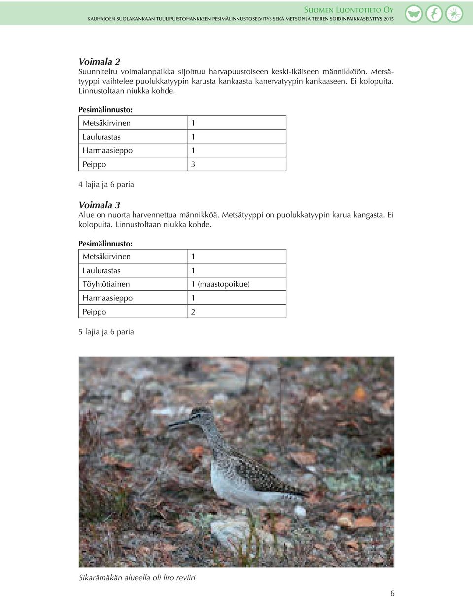 Pesimälinnusto: Metsäkirvinen 1 Laulurastas 1 Harmaasieppo 1 Peippo 3 4 lajia ja 6 paria Voimala 3 Alue on nuorta harvennettua männikköä.