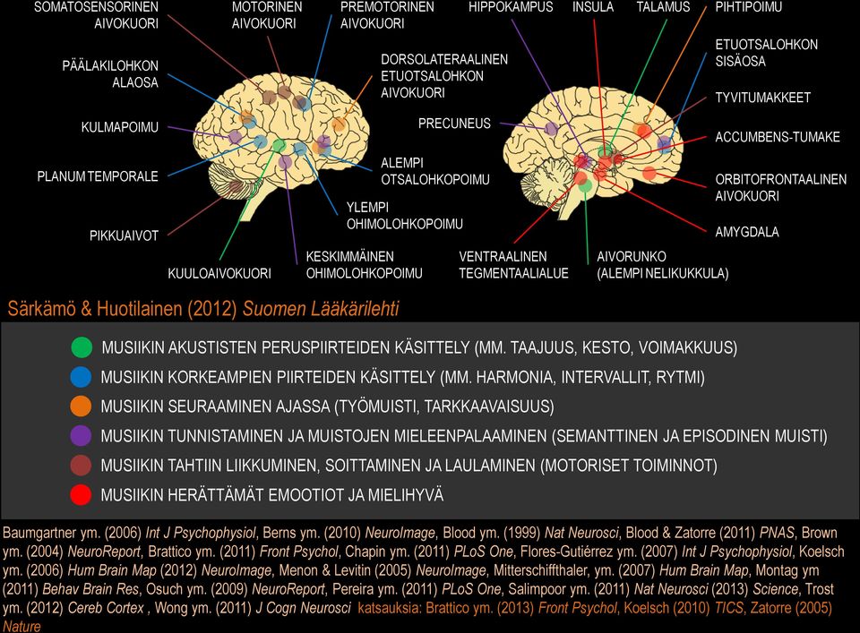 TYVITUMAKKEET ACCUMBENS-TUMAKE ORBITOFRONTAALINEN AIVOKUORI AMYGDALA Särkämö & Huotilainen (2012) Suomen Lääkärilehti MUSIIKIN AKUSTISTEN PERUSPIIRTEIDEN KÄSITTELY (MM.