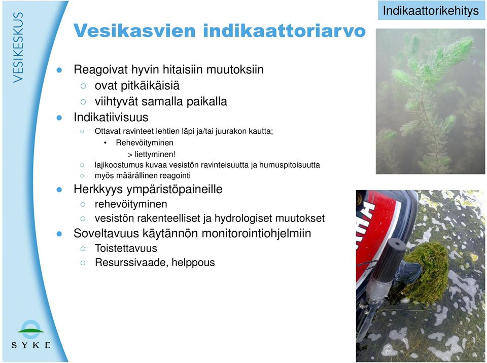 lajikoostumus kuvaa vesistön ravinteisuutta ja humuspitoisuutta myös määrällinen reagointi Herkkyys ympäristöpaineille