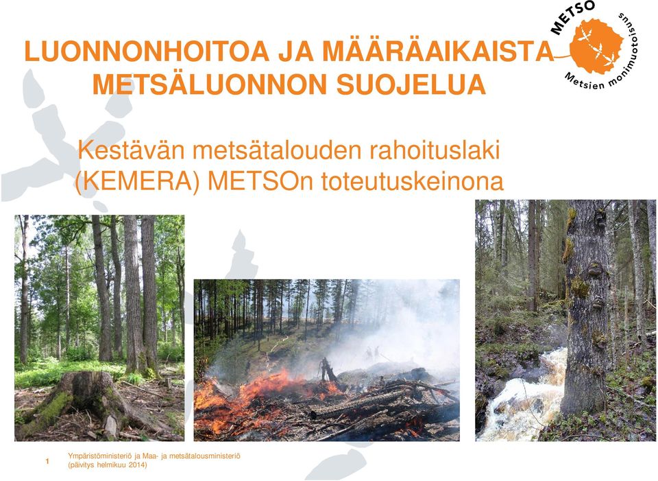 metsätalouden rahoituslaki