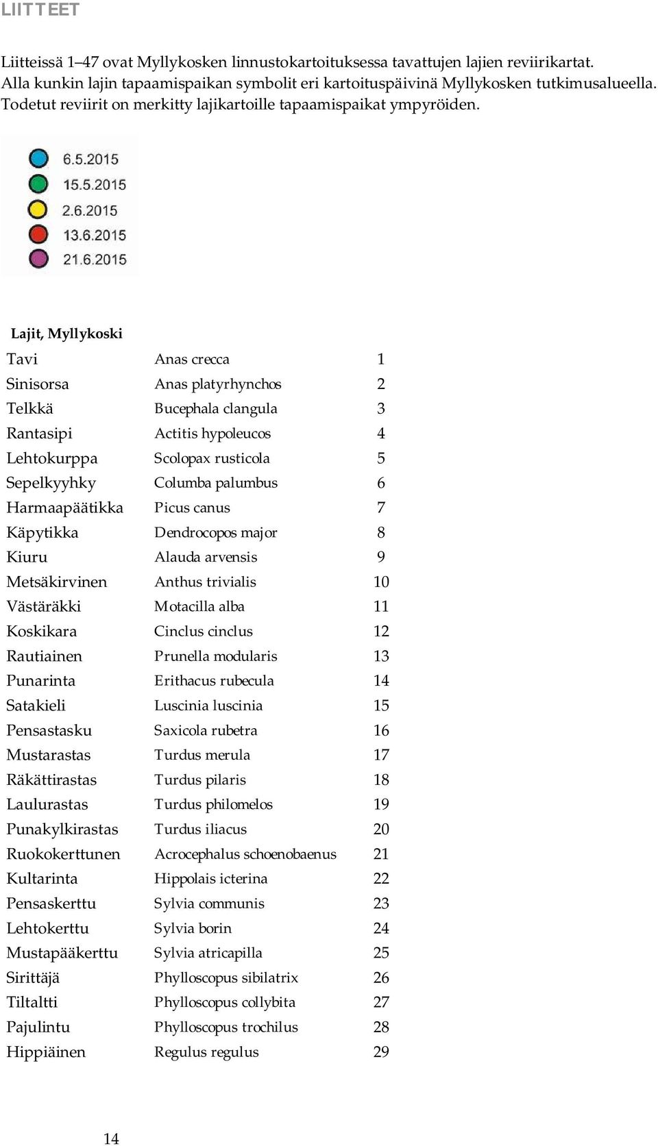 Lajit, Myllykoski Tavi Anas crecca 1 Sinisorsa Anas platyrhynchos 2 Telkkä Bucephala clangula 3 Rantasipi Actitis hypoleucos 4 Lehtokurppa Scolopax rusticola 5 Sepelkyyhky Columba palumbus 6