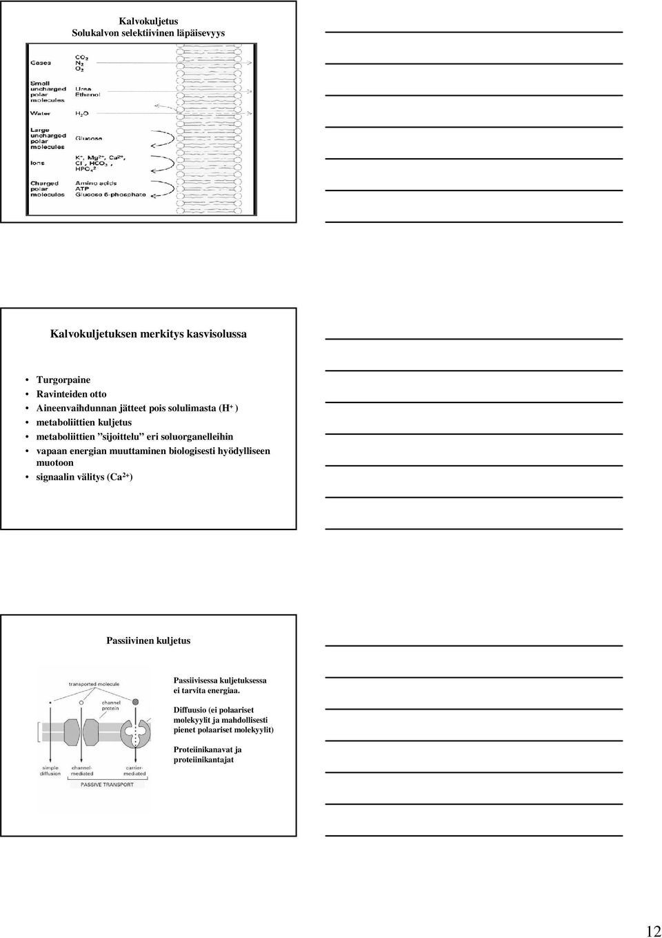 energian muuttaminen biologisesti hyödylliseen muotoon signaalin välitys (Ca 2+ ) Passiivinen kuljetus Passiivisessa kuljetuksessa