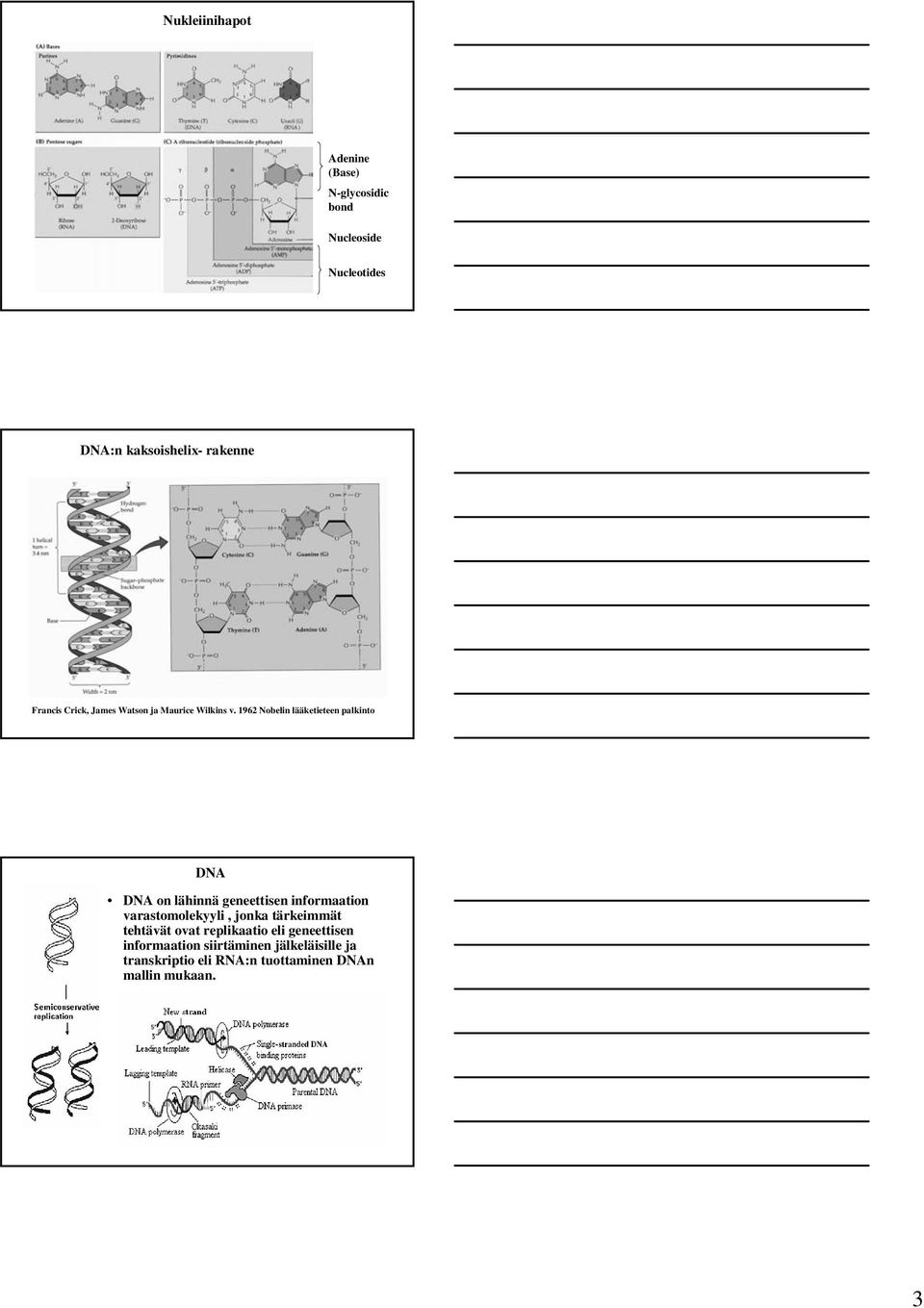 1962 Nobelin lääketieteen palkinto DNA DNA on lähinnä geneettisen informaation varastomolekyyli,