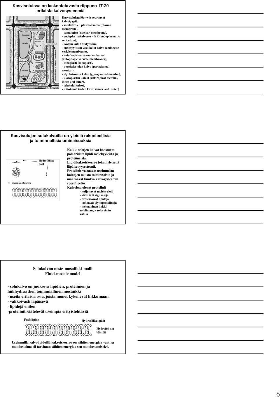 membranes), - tonoplasti (tonoplast), - peroksisomien kalvo (peroxisomal membr.), - glyoksisomin kalvo (glyoxysomal membr.), - kloroplastin kalvot (chloroplast membr.