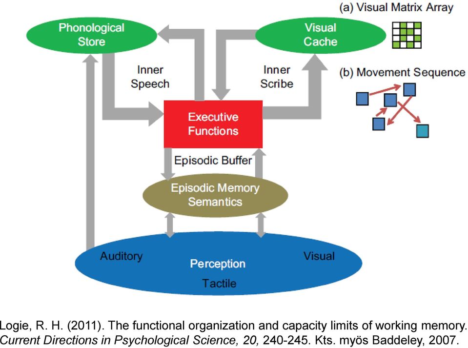 limits of working memory.