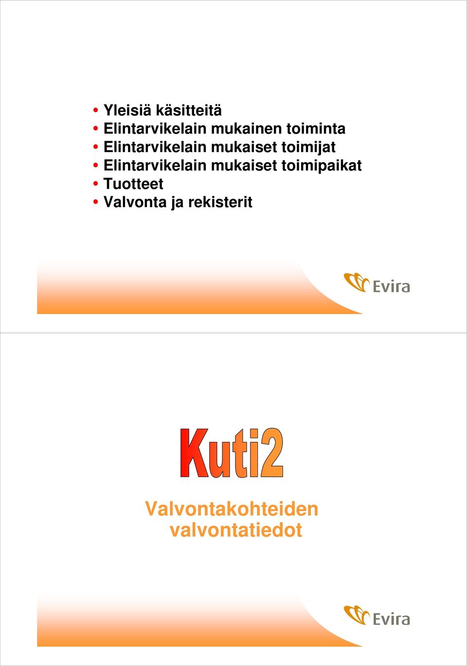 Elintarvikelain mukaiset toimipaikat Tuotteet