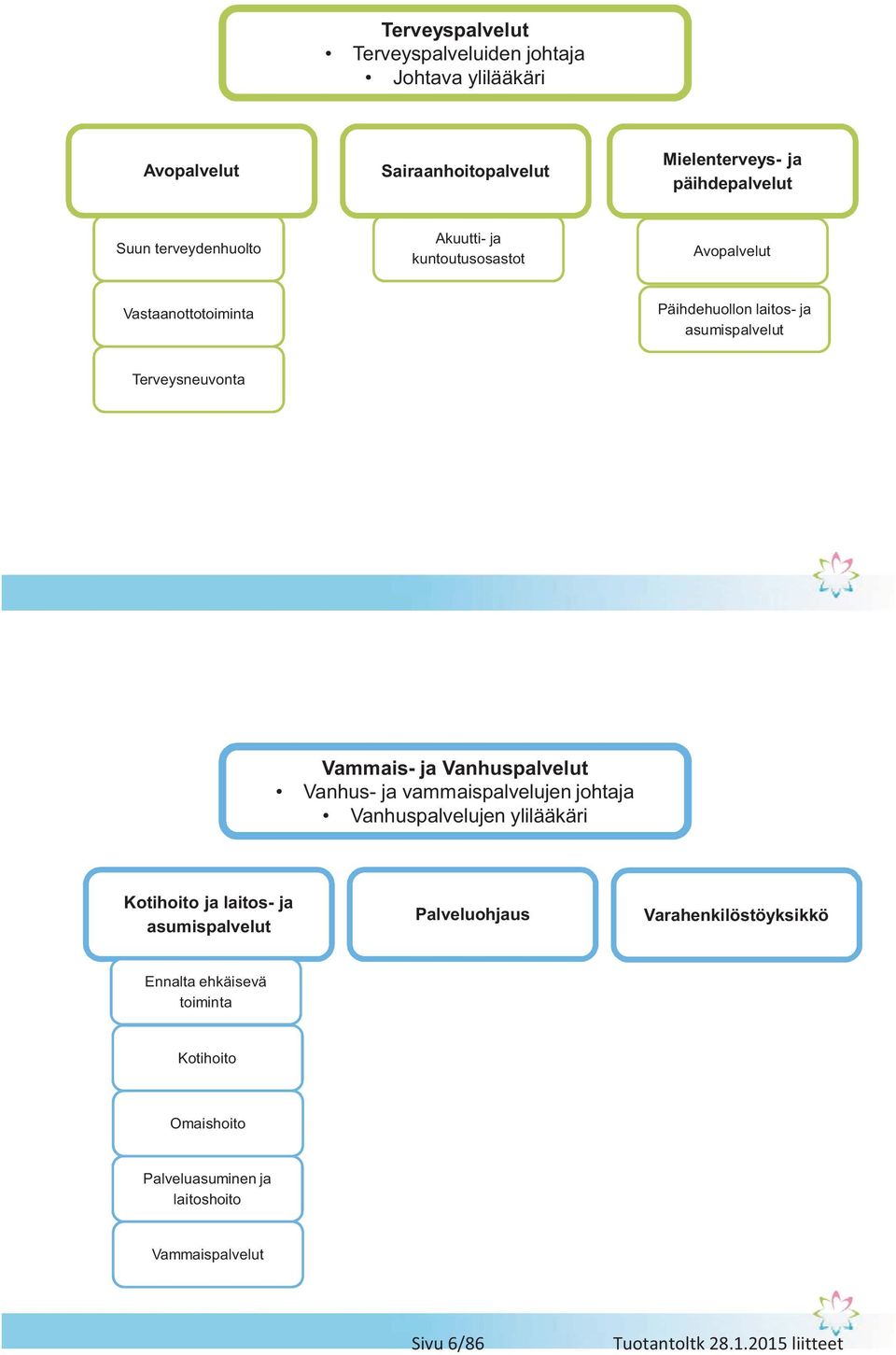 Terveysneuvonta Vammais- ja Vanhuspalvelut Vanhus- ja vammaispalvelujen johtaja Vanhuspalvelujen ylilääkäri Kotihoito ja laitos- ja