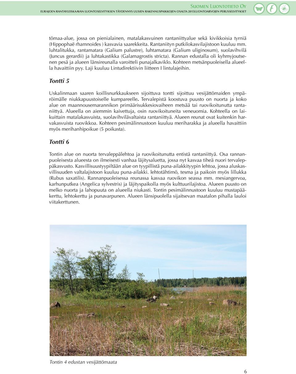 Rannan edustalla oli kyhmyjoutsenen pesä ja alueen länsireunalla varoitteli punajalkaviklo. Kohteen metsänpuoleisella alueella havaittiin pyy. Laji kuuluu Lintudirektiivin liitteen I lintulajeihin.