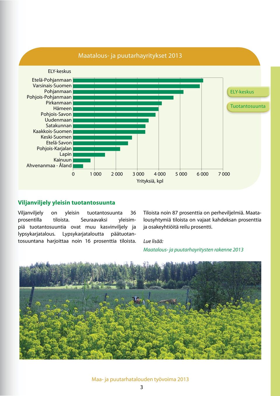 tuotantosuunta 36 prosentilla tiloista. Seuraavaksi yleisimpiä tuotantosuuntia ovat muu kasvinviljely ja lypsykarjatalous.