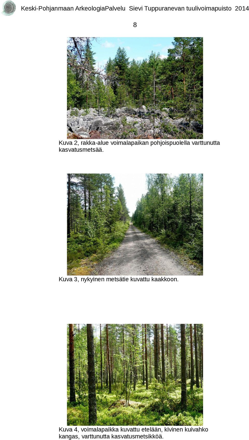 Kuva 3, nykyinen metsätie kuvattu kaakkoon.