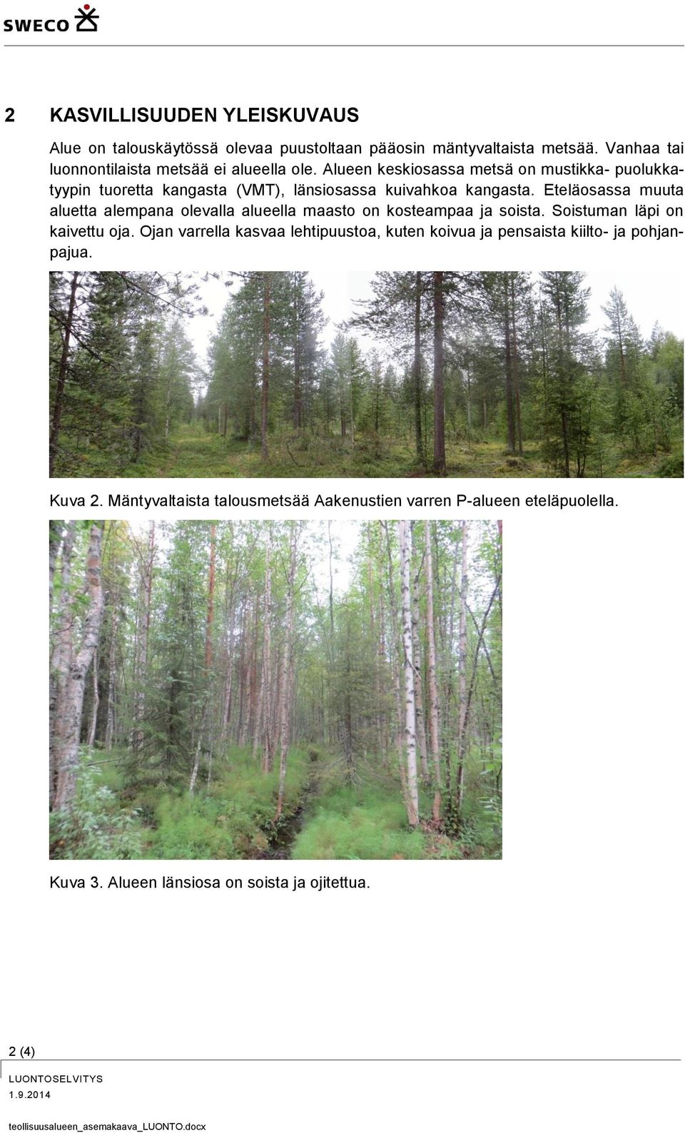 Alueen keskiosassa metsä on mustikka- puolukkatyypin tuoretta kangasta (VMT), länsiosassa kuivahkoa kangasta.