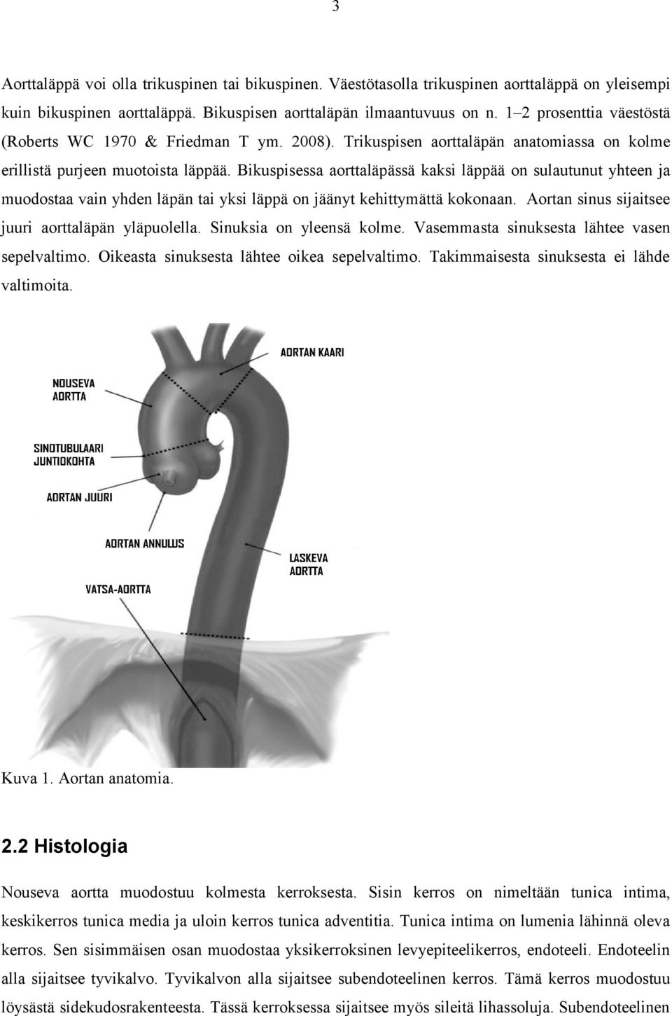 Bikuspisessa aorttaläpässä kaksi läppää on sulautunut yhteen ja muodostaa vain yhden läpän tai yksi läppä on jäänyt kehittymättä kokonaan. Aortan sinus sijaitsee juuri aorttaläpän yläpuolella.