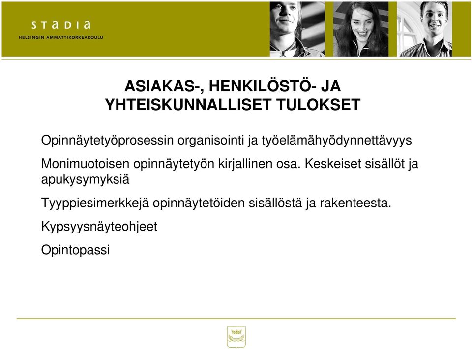 Monimuotoisen opinnäytetyön kirjallinen osa.