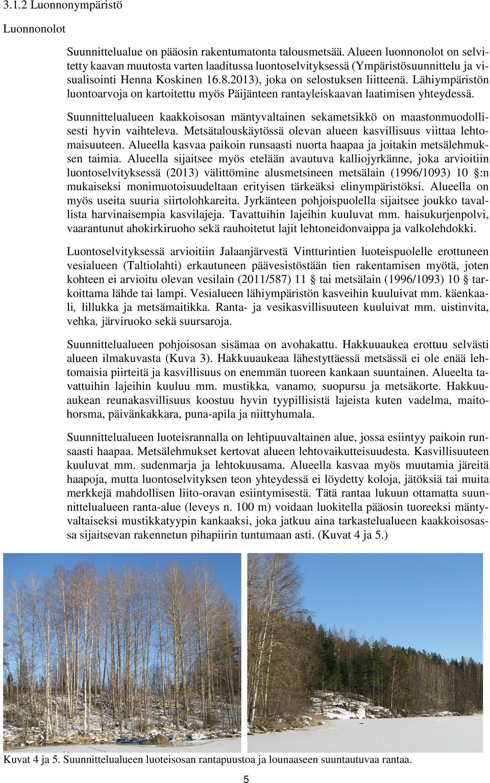 Lähiympäristön luontoarvoja on kartoitettu myös Päijänteen rantayleiskaavan laatimisen yhteydessä. Suunnittelualueen kaakkoisosan mäntyvaltainen sekametsikkö on maastonmuodollisesti hyvin vaihteleva.