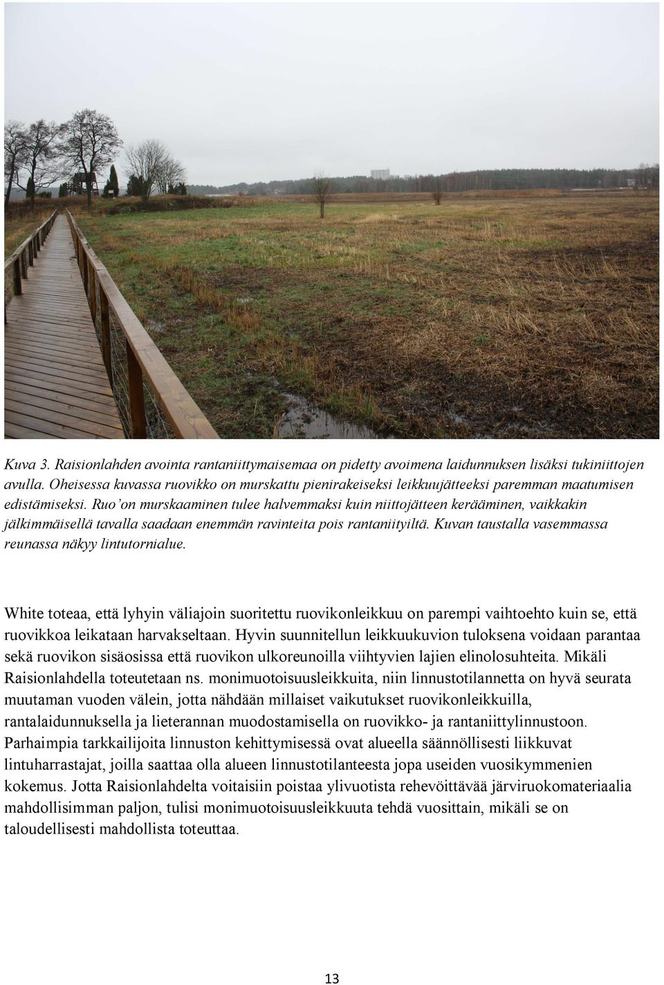 Ruo on murskaaminen tulee halvemmaksi kuin niittojätteen kerääminen, vaikkakin jälkimmäisellä tavalla saadaan enemmän ravinteita pois rantaniityiltä.