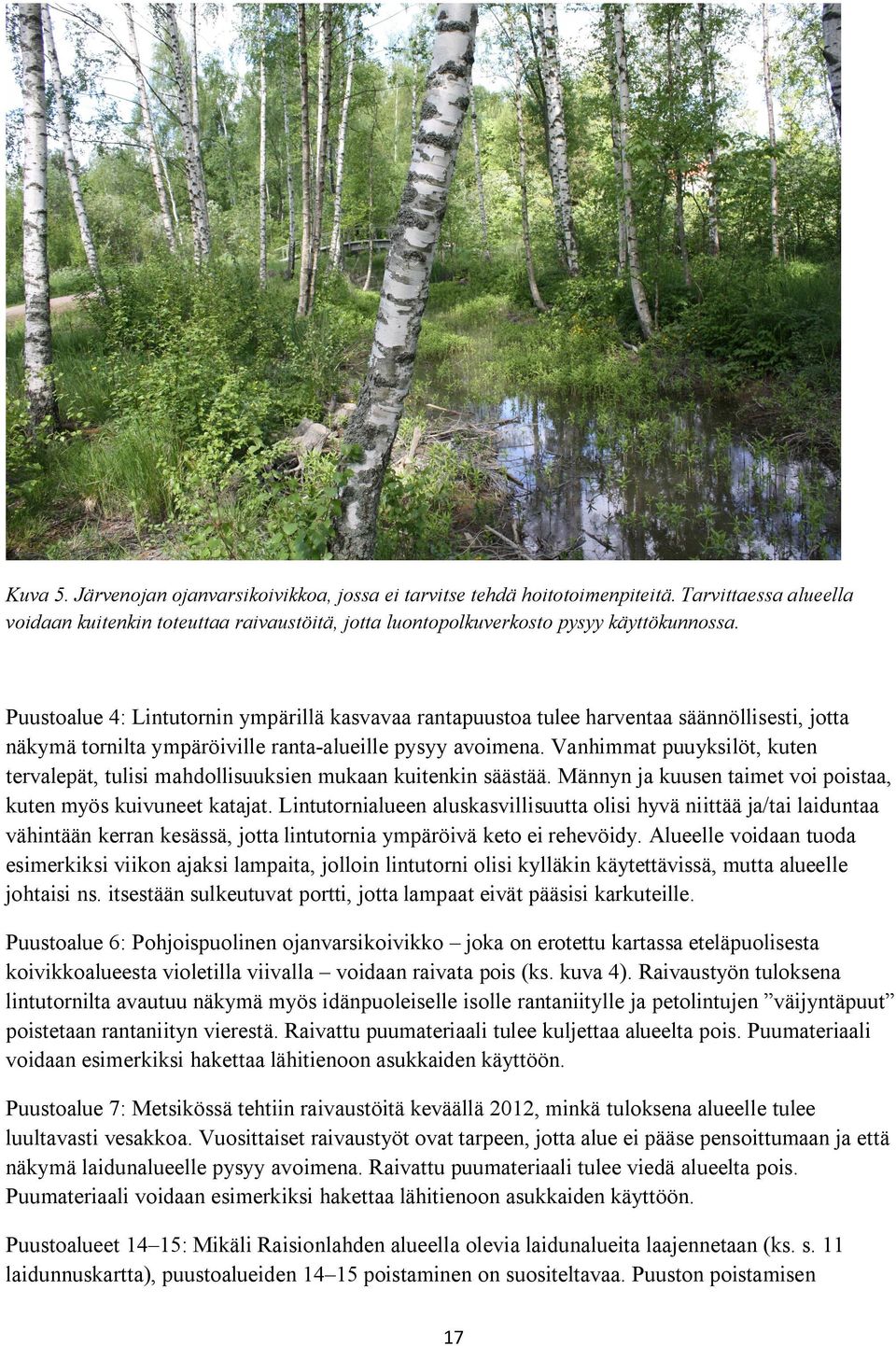 Vanhimmat puuyksilöt, kuten tervalepät, tulisi mahdollisuuksien mukaan kuitenkin säästää. Männyn ja kuusen taimet voi poistaa, kuten myös kuivuneet katajat.